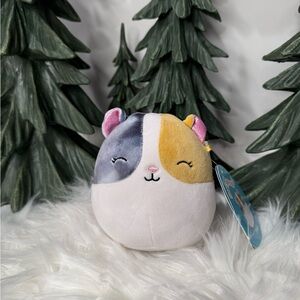 Pax, The Tri-Colored Hamster Squishmallow Plush Toy, NWT, 5in.